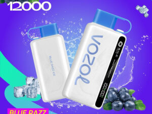 Vozol 12000 Blue Razz Ice